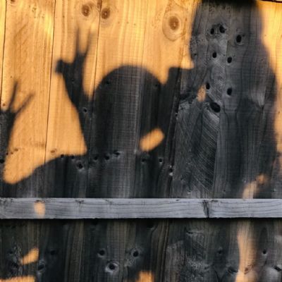 No escaping your shadow - Shaan Khaira KS3